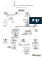 Acute Glomerulonephritis (AGN) Pathophysiology & Schematic Diagram