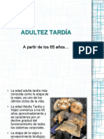 Adultez Tardía