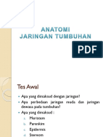 Anatomi Tumbuhan Jaringan