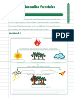 Incendios Bases Teoricas