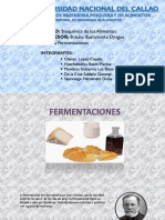 Fermentacion Exposicion Biocal