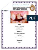 Adhesion en Odontologia