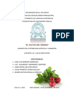 Trabajodelcultivoderabano 150319203111 Conversion Gate01