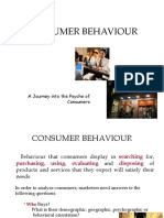 Consumer Behaviour: A Journey Into The Psyche of Consumers