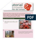 Extraer Semillas de Tomate