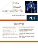 18a Sesión Practica 8 Estructura y Función Humana Sistema Cardiovascular 1a Parte