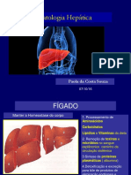 05 Patologia Hepática VB e Pancreas 2016