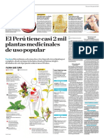 El Perú Tiene Casi 2 Mil Plantas Medicinales de Uso Popular