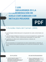 ROL de Los Microorganismos en La Fitorremediación de - pptx-SUELOS