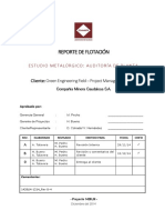 Caudalosa Flotacion - 1428LM (V6)