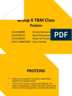 Group II TBM Class: Protein