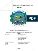 Informe Visita Técnica Emsa Puno y Seda Juliaca