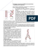 Descripción de La Función Biológica e Importancia Del DNA en Las Características Hereditarias de Los Organismos