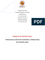 Fichas Tecnicas De, Microorganismos de Importancia en Microbiología.