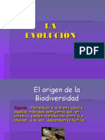 Evolucion