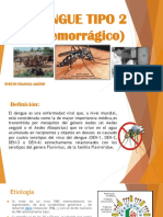 Dengue Tipo 2