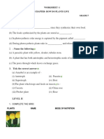 Academic Window BIOLOGY 7 PDF