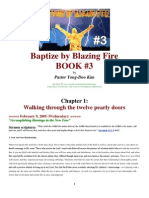 Book 3 Baptize by Blazing Fire