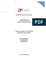 Trabajo Final Contaminacion Playas de Lima