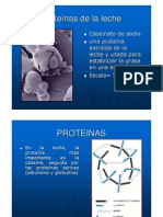 Leche Composición Quimica