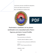 BImelara PDF