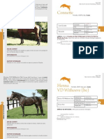 2010 Catalogue Chevaux Agence Pompadour