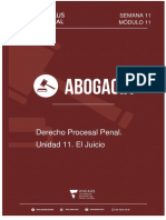 Procesal Penal. Unidad 11. Uncaus