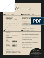 Resume of Noel Ligu