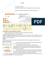 Aula 11 Plano de Aula Bioquímica Proteínas