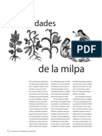 Las Bondades de La Milpa