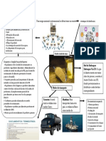 Evidencia 3 Infografía "Estrategia Global de Distribución"