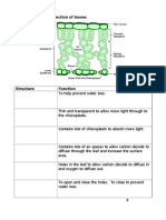 Lesson 5 Structure and Functions of Leaves Student Worksheet