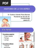 Anatomia de La Via Aerea