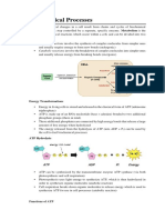 Activity 2 Biochemical Processes