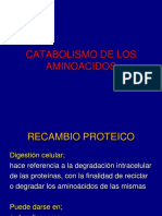 Catabolismo de Los Aminoacidos II Parcial