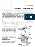 Animal Nutrition