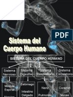 Cuerpo Humano