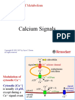 Calcium Signals: Biochemistry of Metabolism