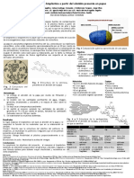 Elaboracion de Bioplastico A Partir Del Almidon Presente en Papas Final