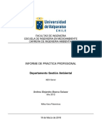 INFORME DE PRÁCTICA PROFESIONAL Final