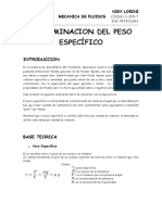 Determinacion Del Peso Específico