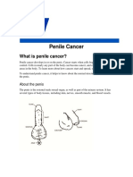 Penile Cancer