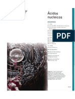 13-Acidos Nucleicoso