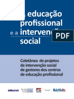 A Educação Profissional e A Intervenção Social