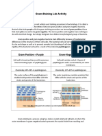Gram-Staining Lab