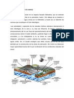 El Ciclo Hidrológico en La Cuenca