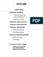 The Pseudocoelomates