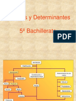 Matrices y Determinantes