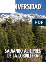 Fundacion Bosques Nativos Argentinos - Salvando Al Cipres de La Cordillera