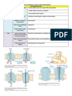 Antiseizure, Sedative & Hypnotics